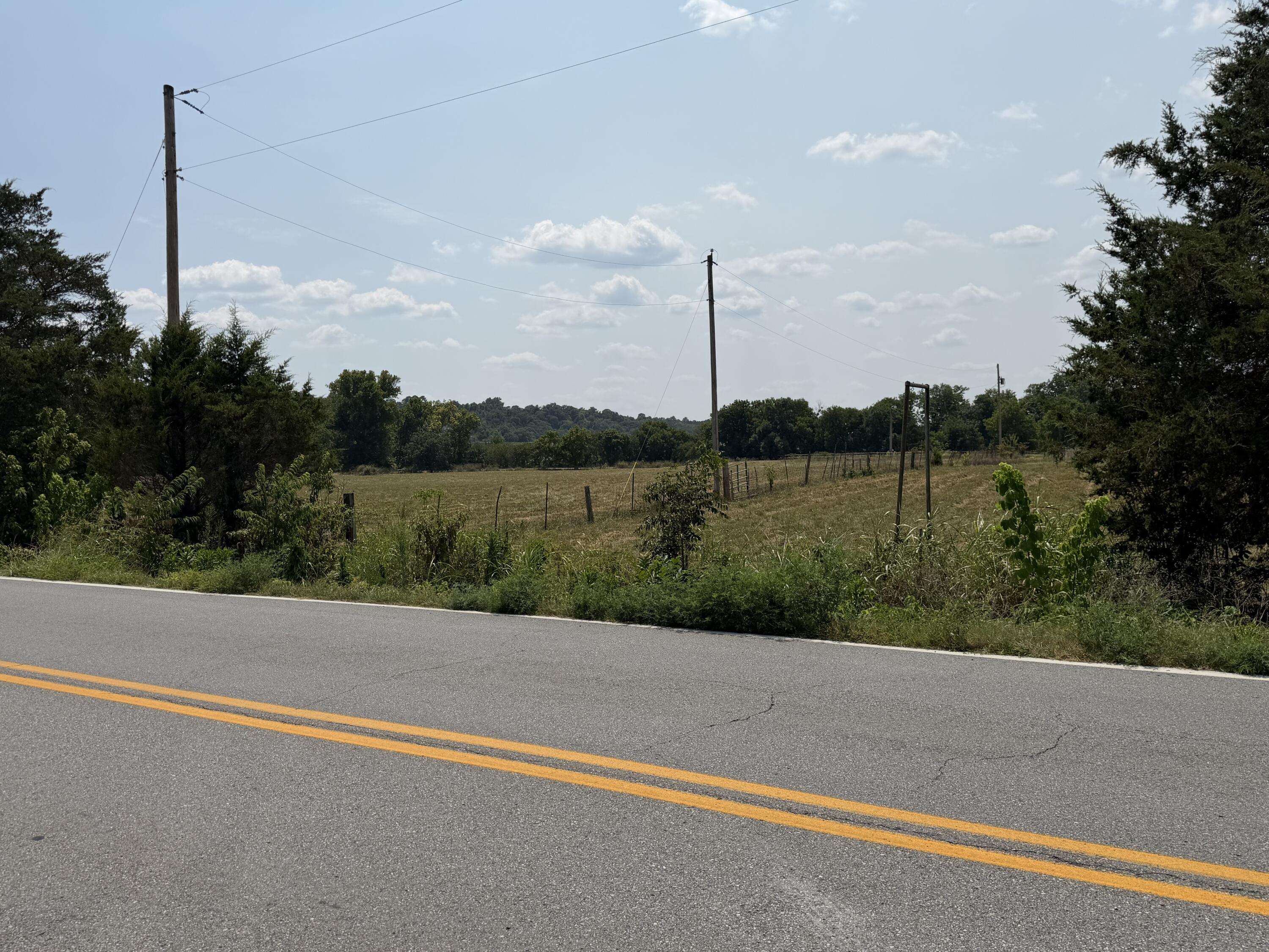 Photo 5 - Land for sale – 85  Quarter Horse Lane  Pineville, MO