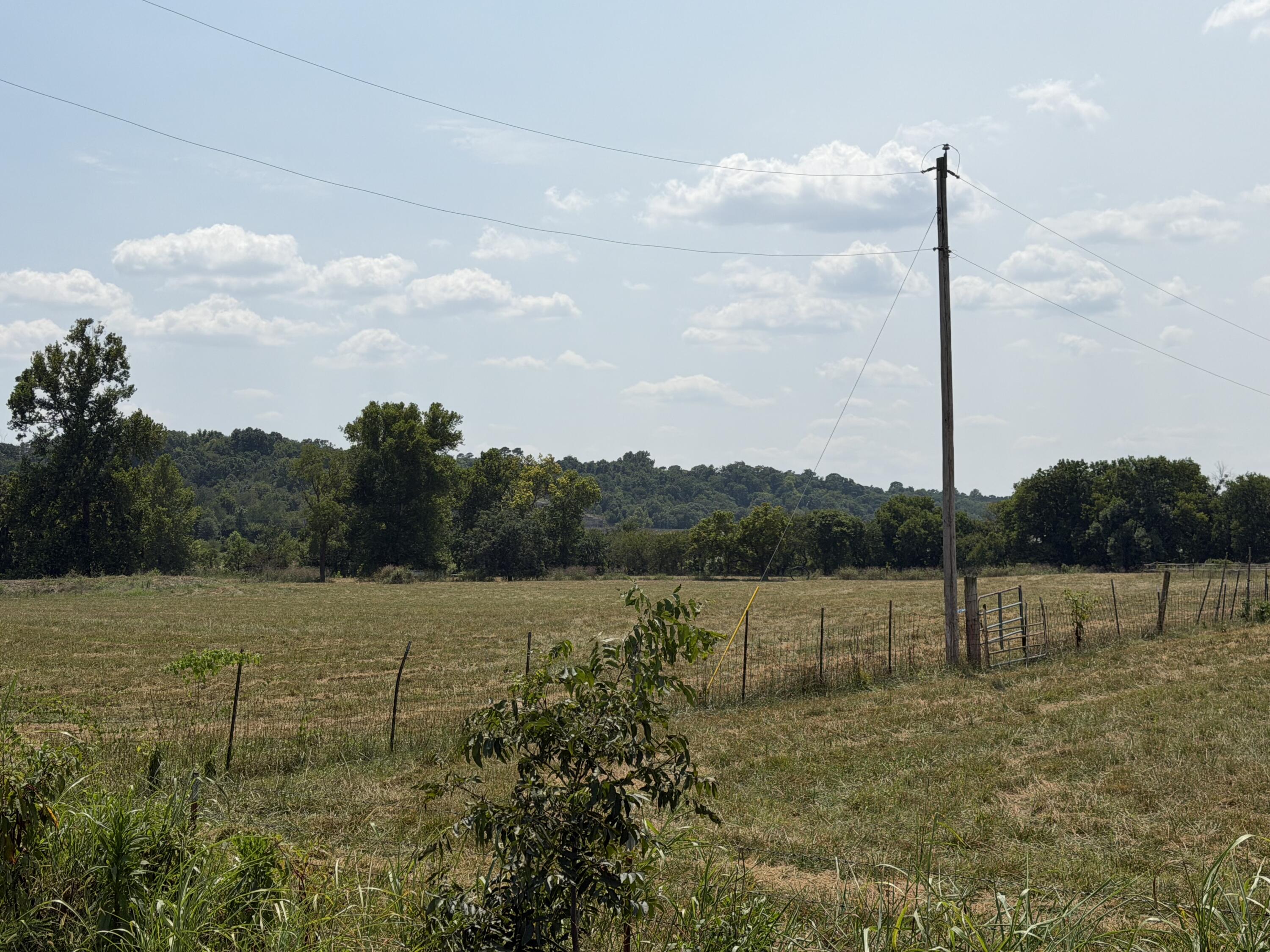 Photo 2 - Land for sale – 85  Quarter Horse Lane  Pineville, MO