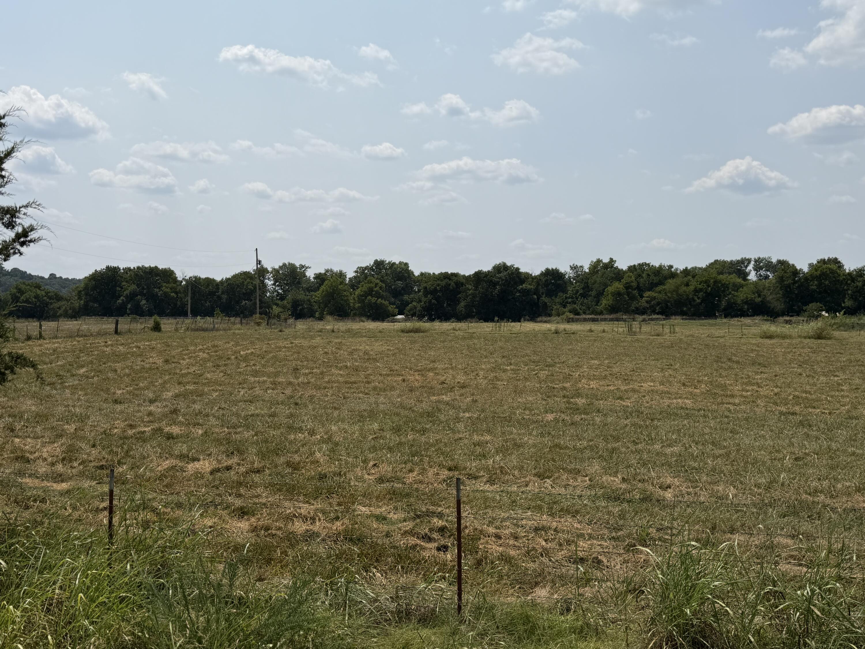 Land for sale – 85  Quarter Horse Lane  Pineville, MO