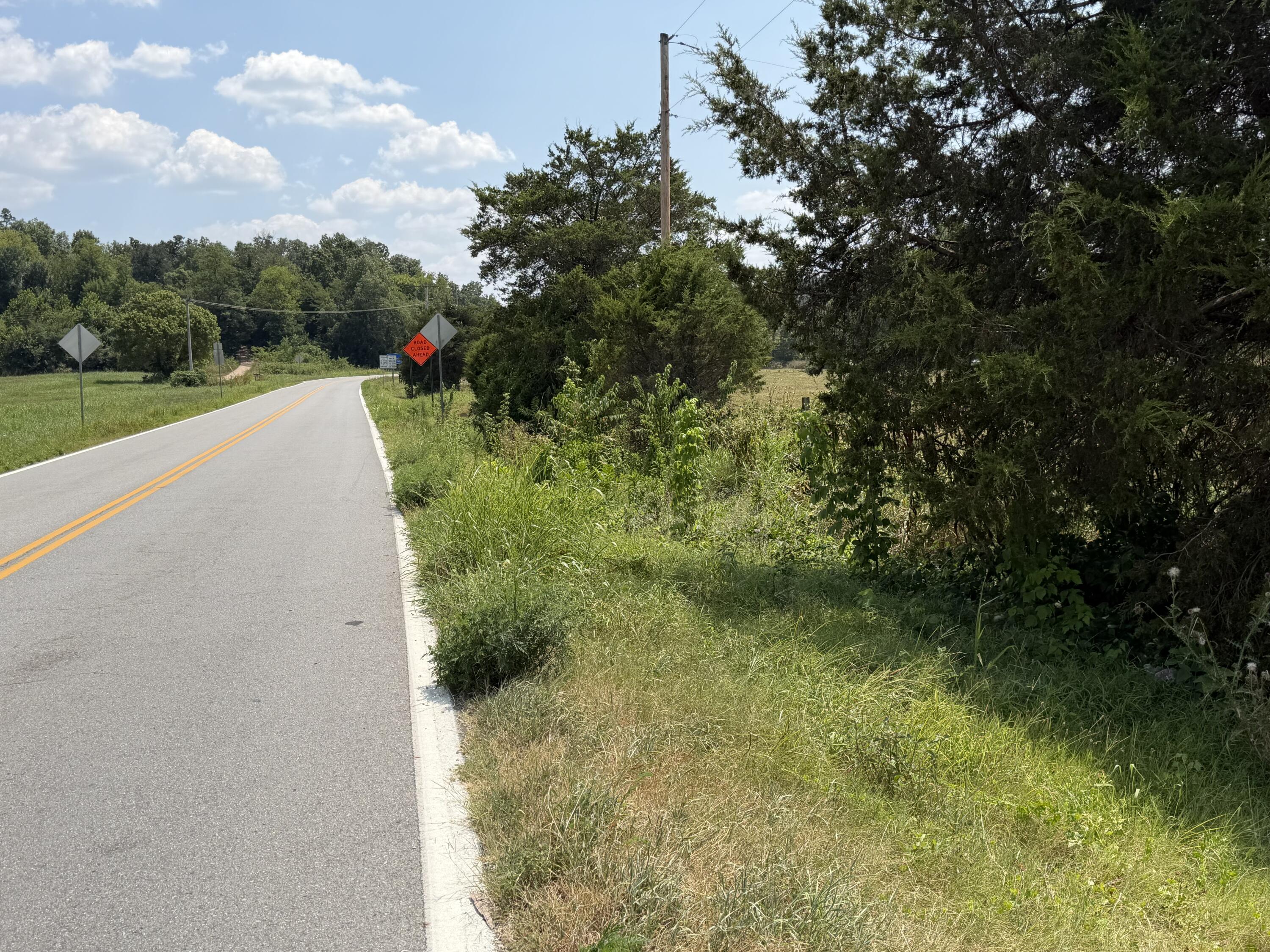 Photo 4 - Land for sale – 85  Quarter Horse Lane  Pineville, MO