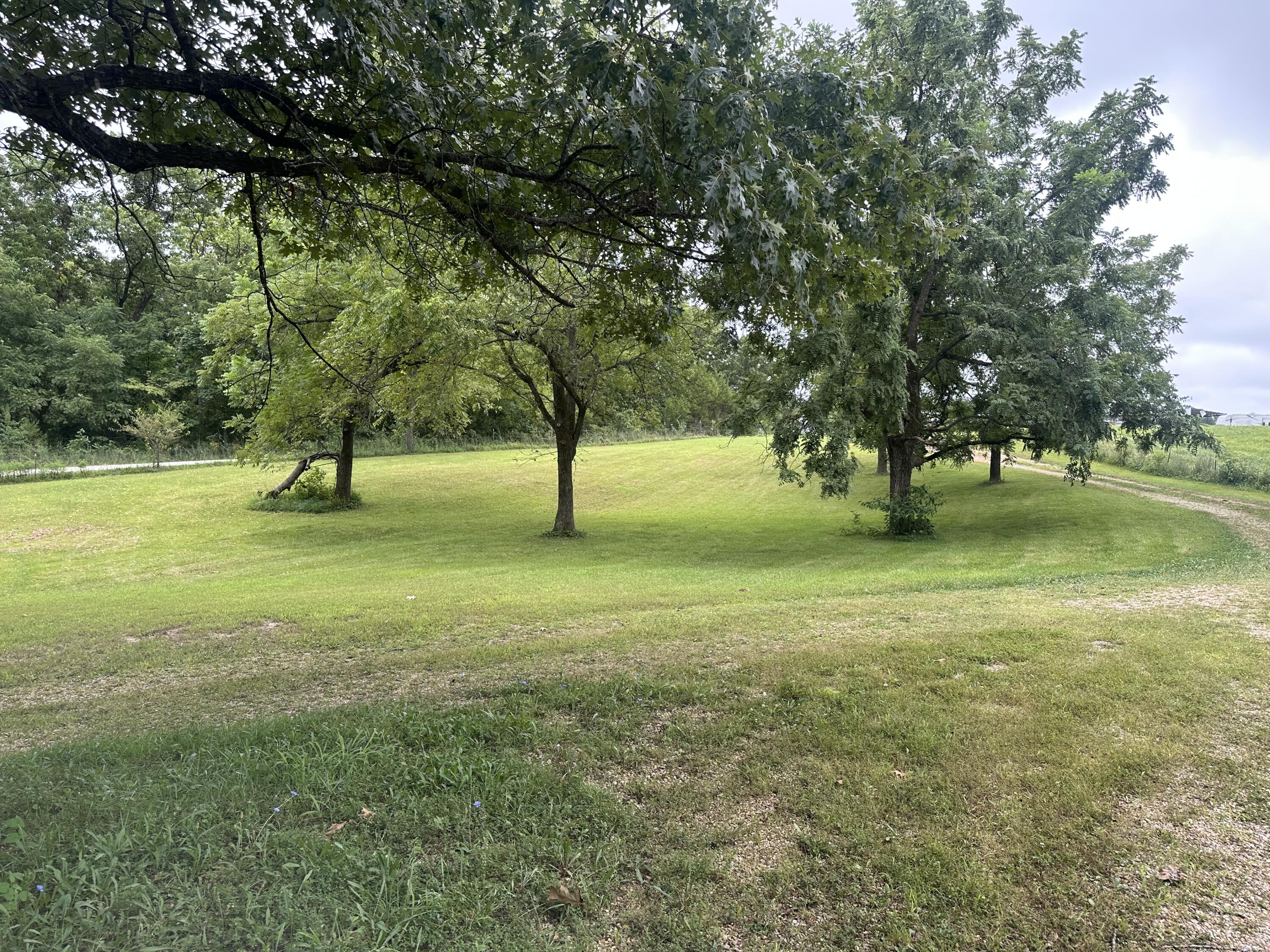 Photo 6 - Residential for sale – 3827  Gravel Point Road  Mountain Grove, MO