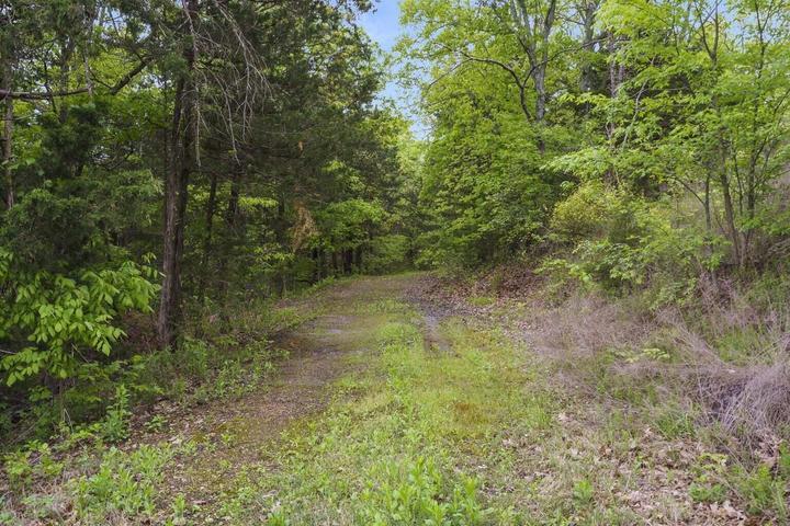 Photo 59 - Residential for sale – 86  Rasso Way   Kimberling City, MO