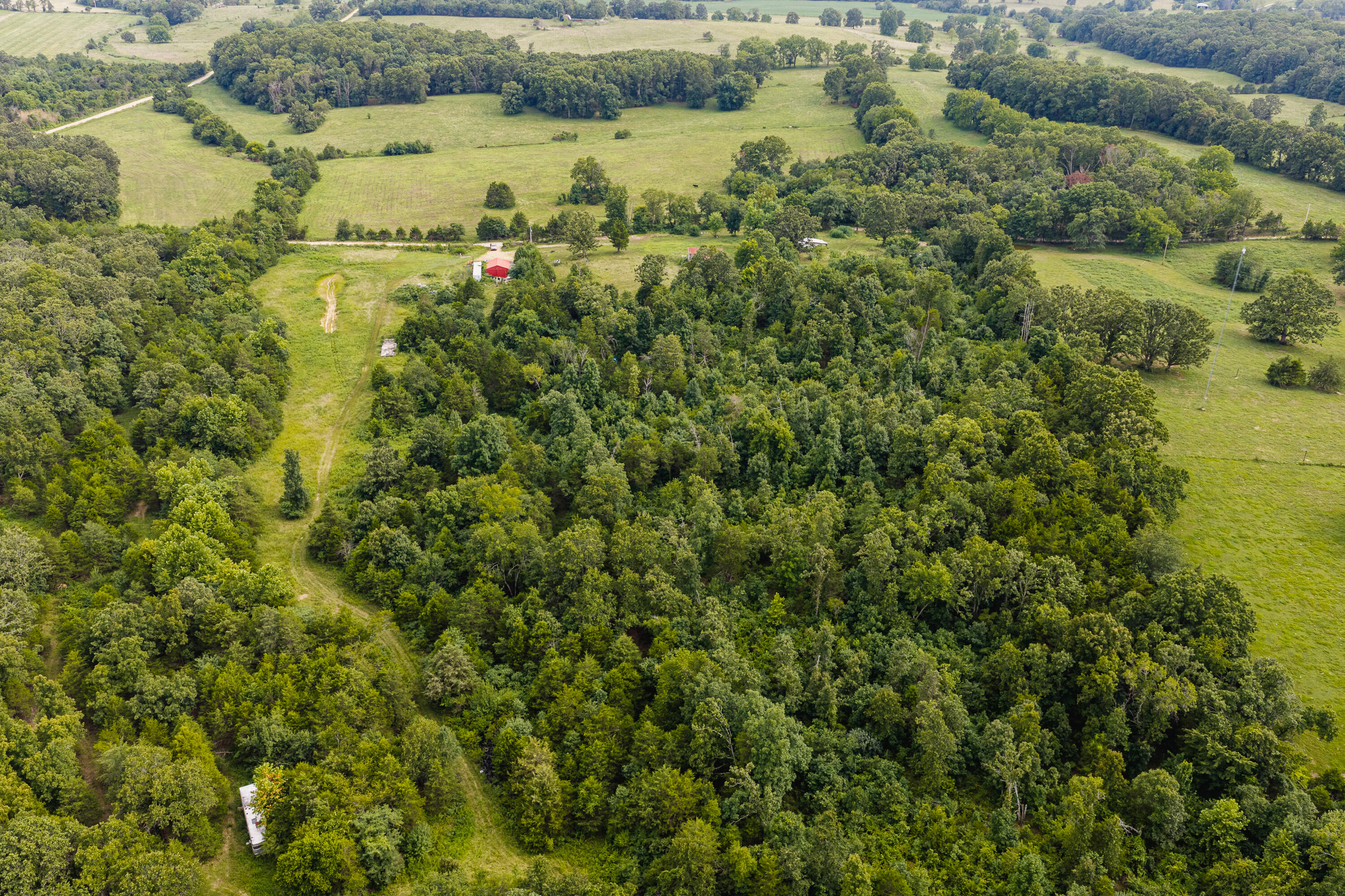 Photo 14 - Land for sale – 7121  County Road 1460   West Plains, MO