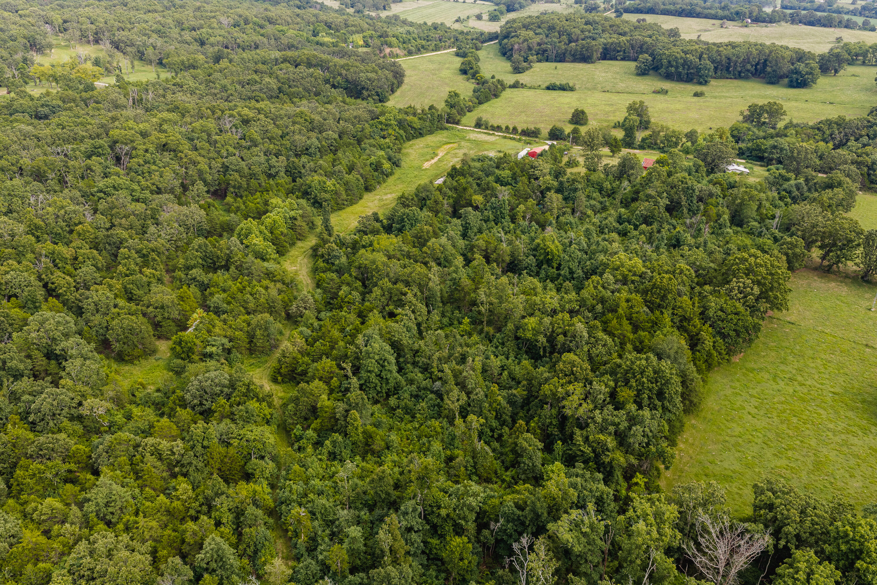 Photo 13 - Land for sale – 7121  County Road 1460   West Plains, MO