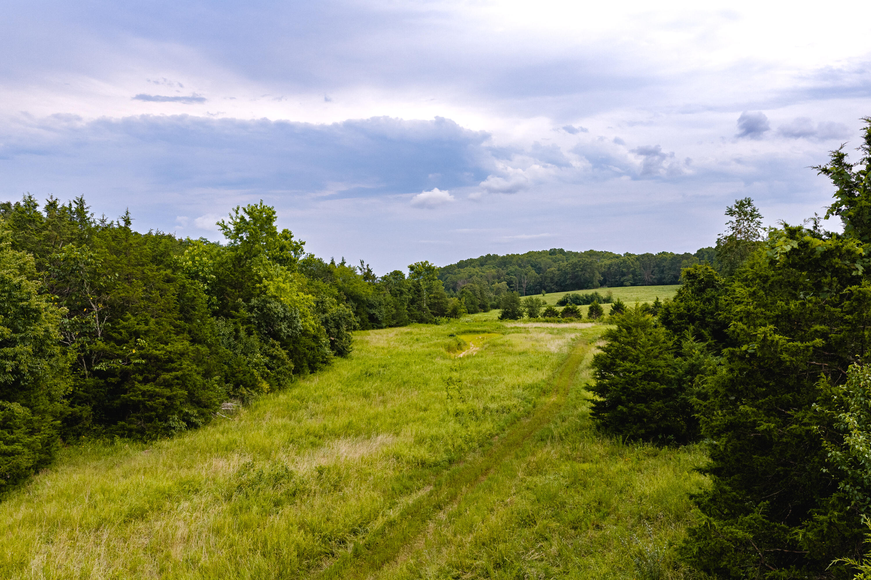 Photo 3 - Land for sale – 7121  County Road 1460   West Plains, MO