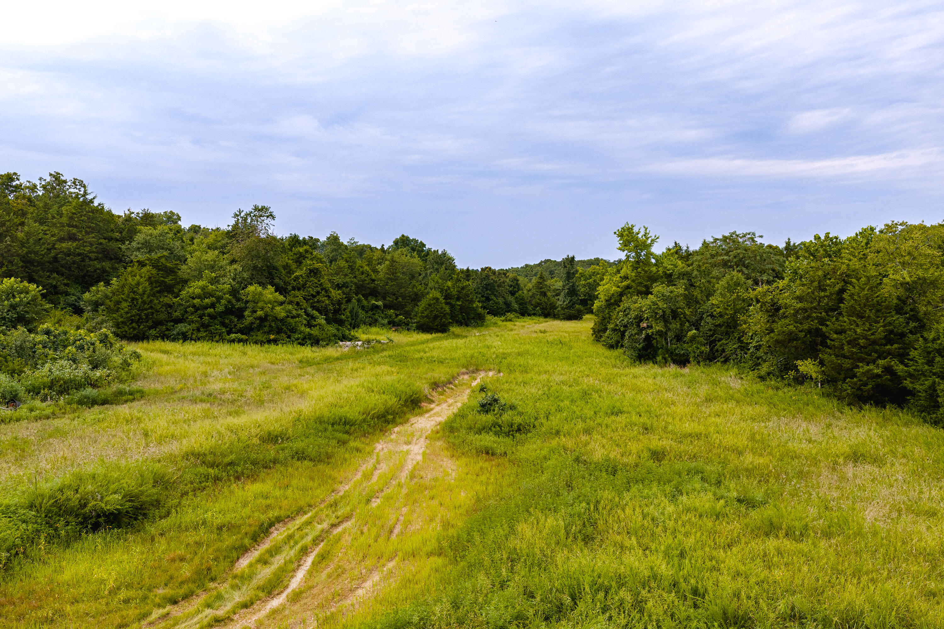Photo 4 - Land for sale – 7121  County Road 1460   West Plains, MO