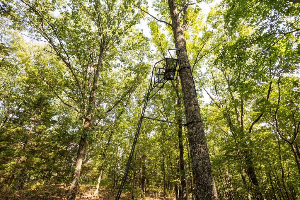 Photo 15 - Land for sale – 000  Misty Springs Road  Galena, MO