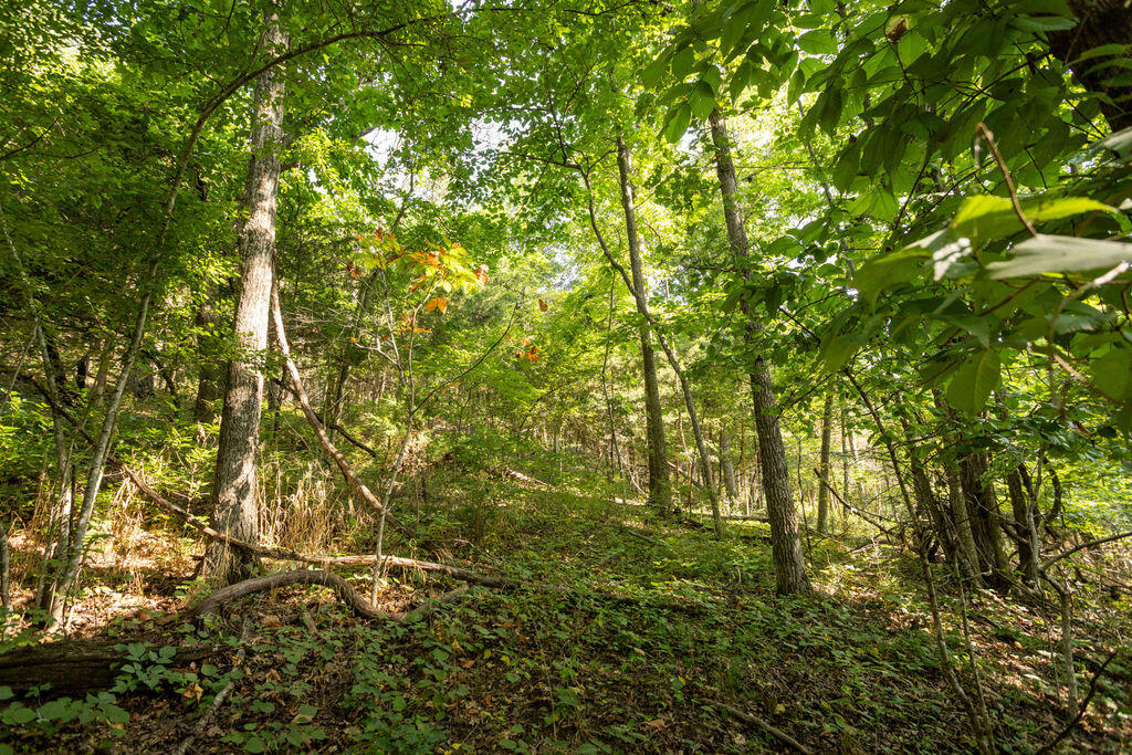 Photo 9 - Land for sale – 000  Misty Springs Road  Galena, MO