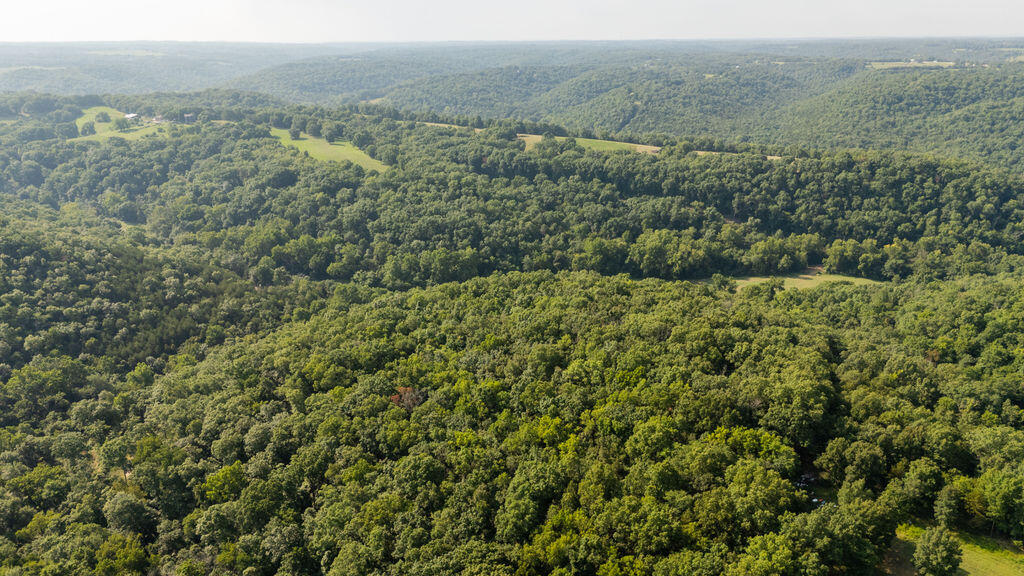 Photo 32 - Land for sale – 000  Misty Springs Road  Galena, MO