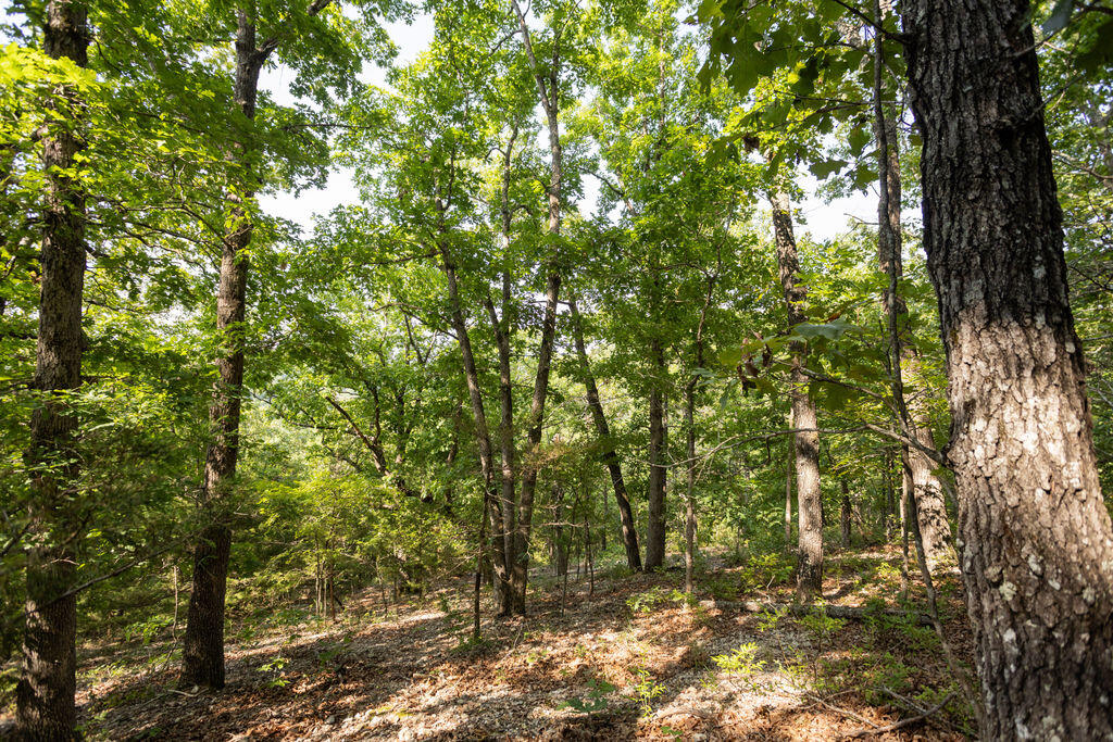 Photo 20 - Land for sale – 000  Misty Springs Road  Galena, MO