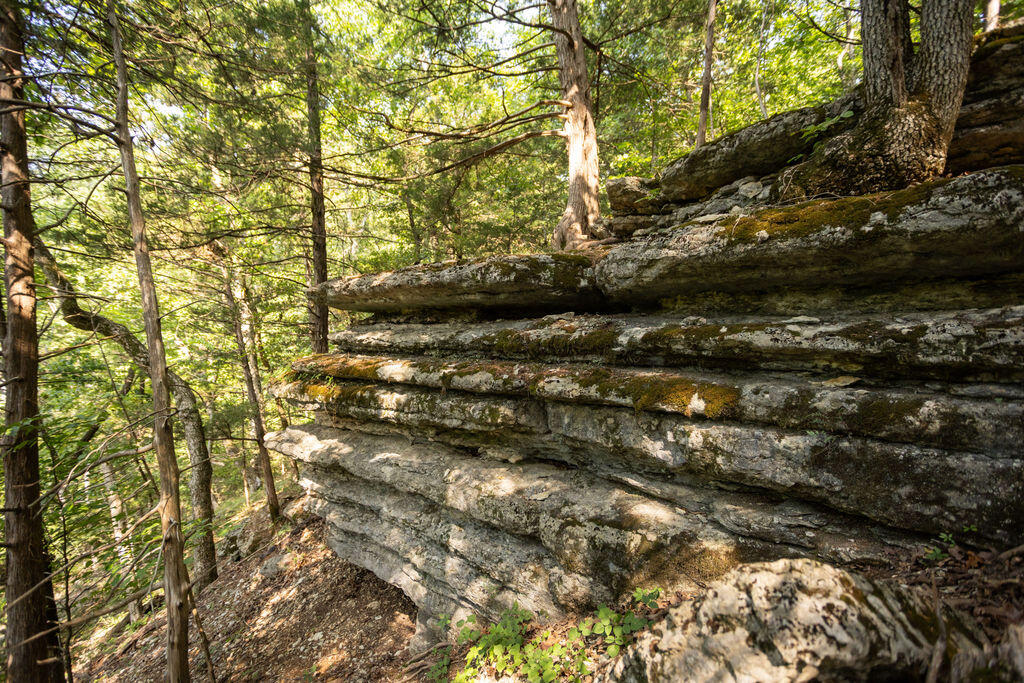 Photo 22 - Land for sale – 000  Misty Springs Road  Galena, MO