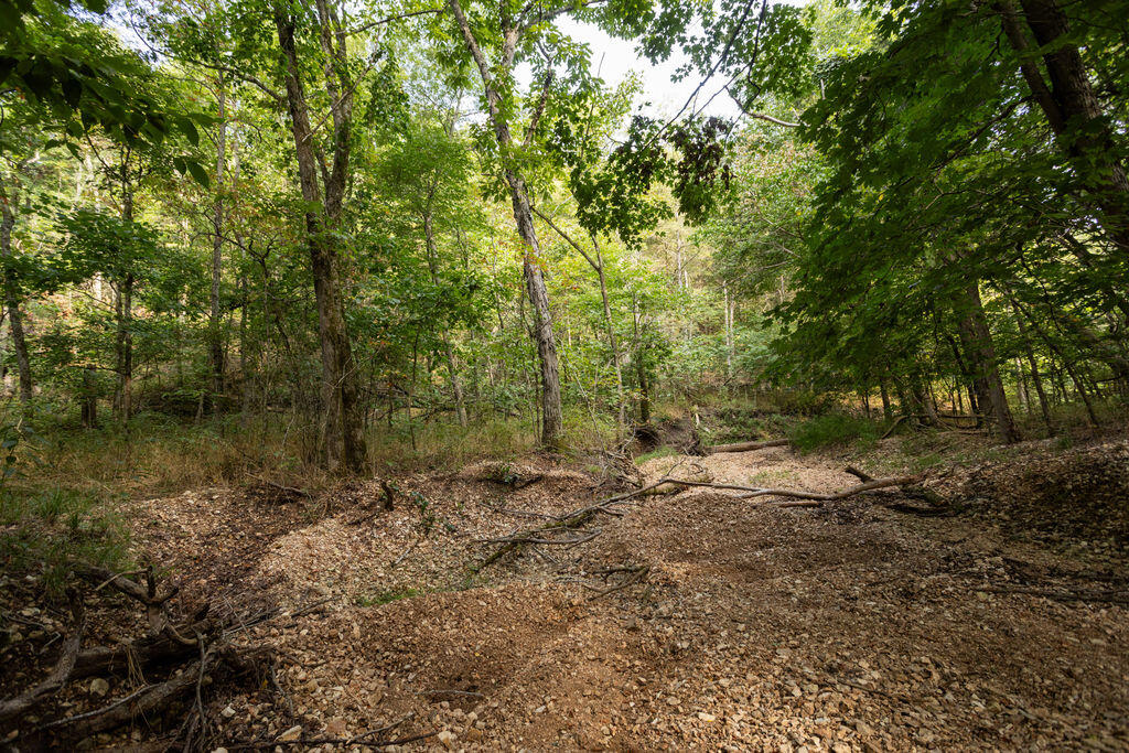 Photo 5 - Land for sale – 000  Misty Springs Road  Galena, MO