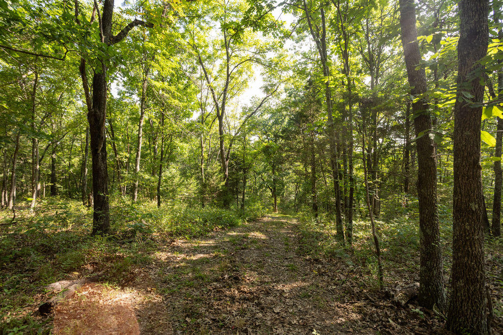 Photo 13 - Land for sale – 000  Misty Springs Road  Galena, MO