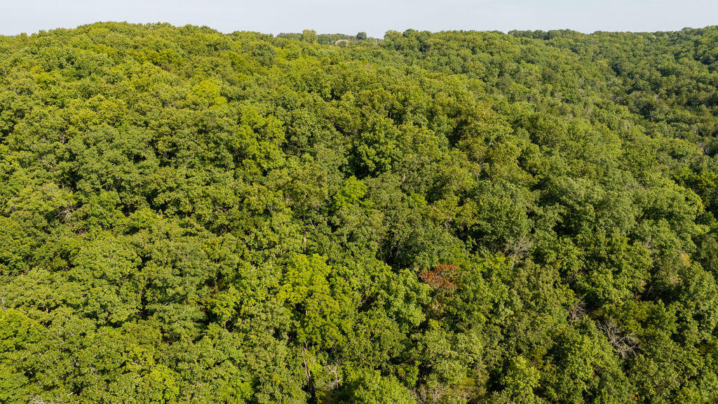 Photo 42 - Land for sale – 000  Misty Springs Road  Galena, MO