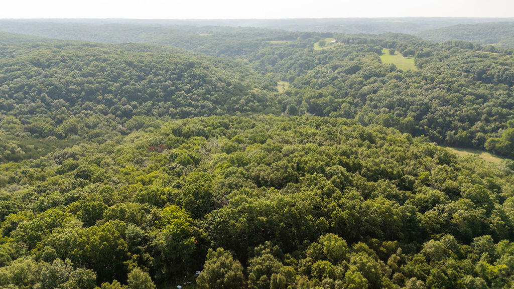 Photo 31 - Land for sale – 000  Misty Springs Road  Galena, MO