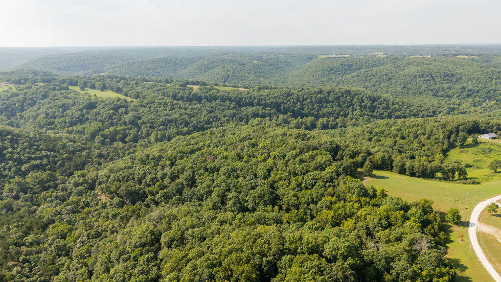 Photo 33 - Land for sale – 000  Misty Springs Road  Galena, MO