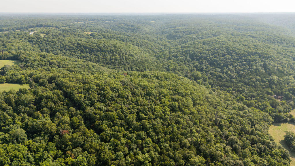 Photo 29 - Land for sale – 000  Misty Springs Road  Galena, MO
