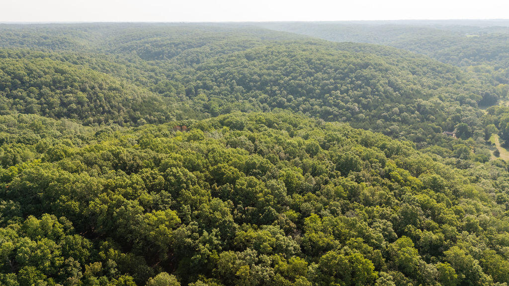 Photo 30 - Land for sale – 000  Misty Springs Road  Galena, MO