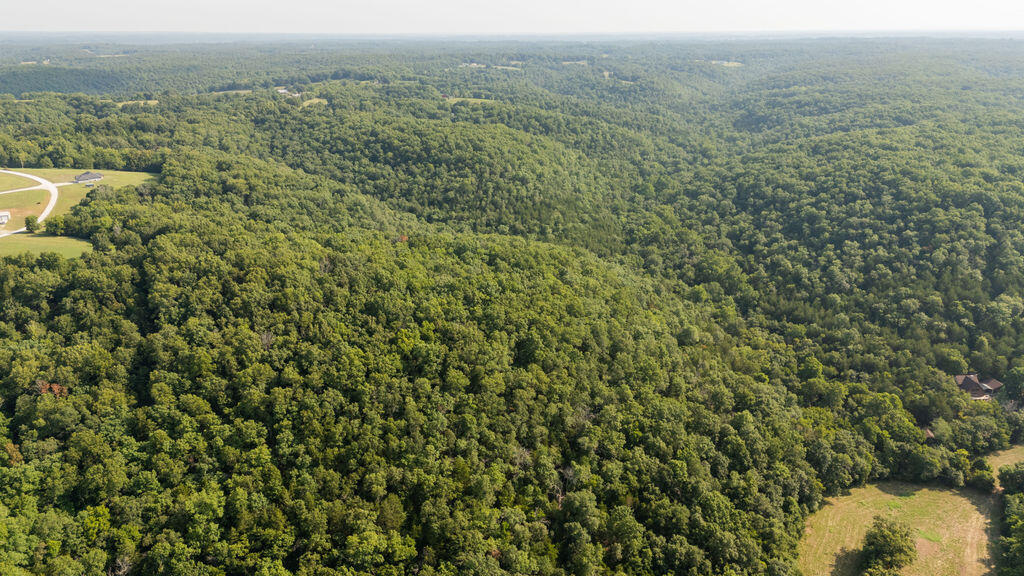 Photo 28 - Land for sale – 000  Misty Springs Road  Galena, MO