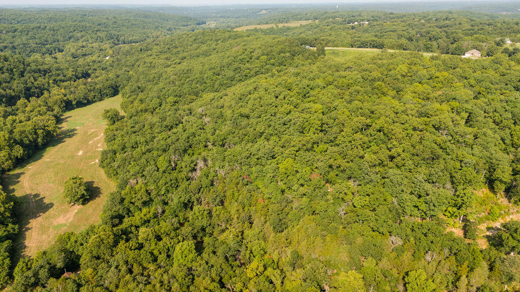 Photo 24 - Land for sale – 000  Misty Springs Road  Galena, MO