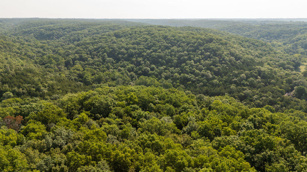 Photo 37 - Land for sale – 000  Misty Springs Road  Galena, MO
