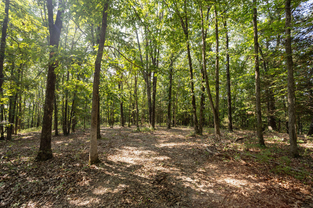Photo 12 - Land for sale – 000  Misty Springs Road  Galena, MO