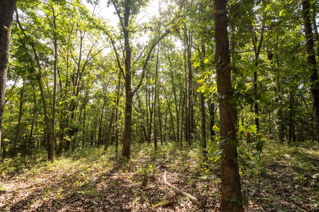 Photo 19 - Land for sale – 000  Misty Springs Road  Galena, MO