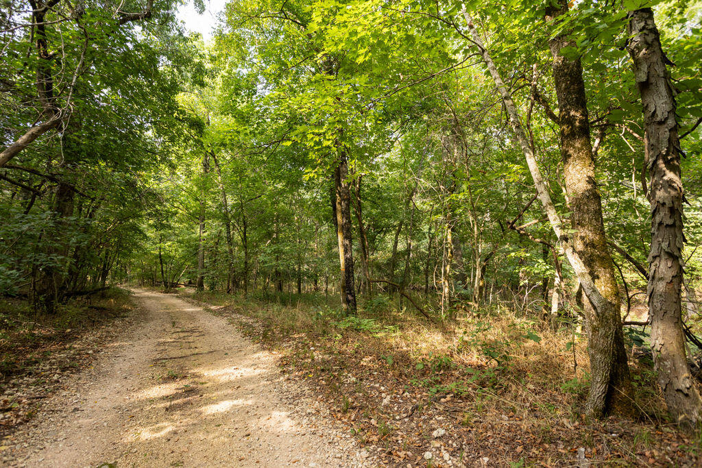Photo 2 - Land for sale – 000  Misty Springs Road  Galena, MO