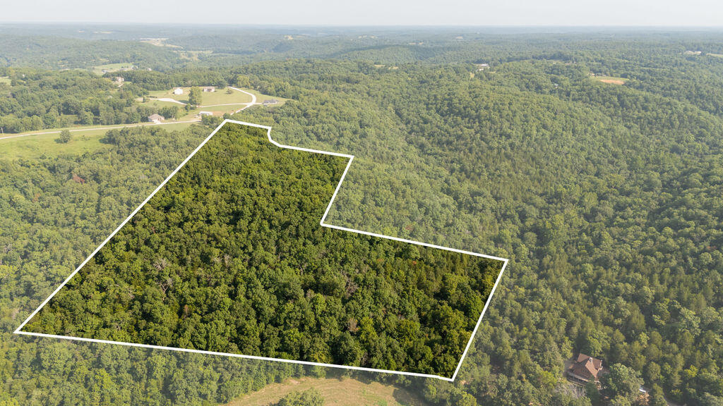 Land for sale – 000 Misty Springs Road Galena, MO