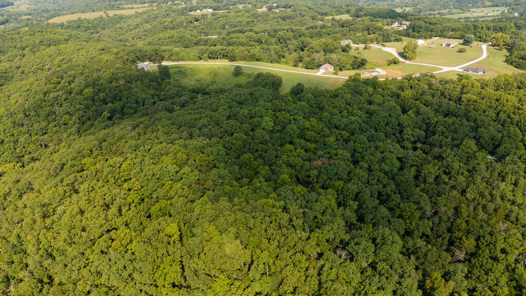Photo 36 - Land for sale – 000  Misty Springs Road  Galena, MO