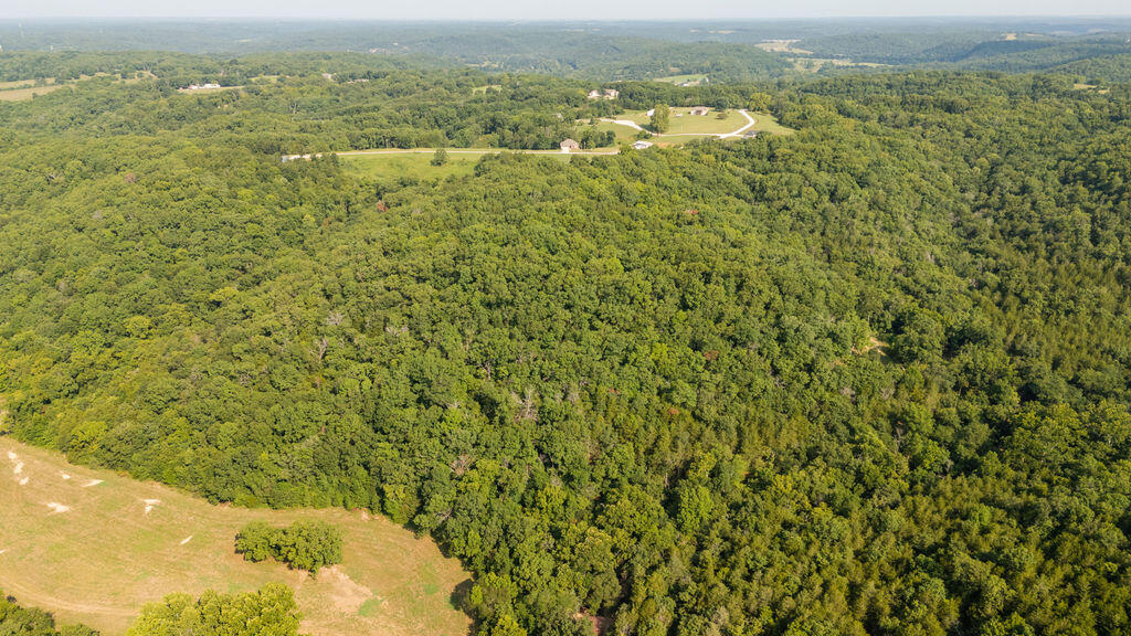 Photo 25 - Land for sale – 000  Misty Springs Road  Galena, MO