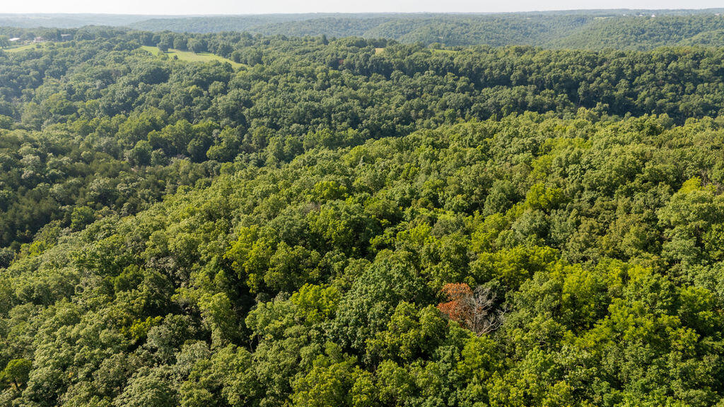 Photo 41 - Land for sale – 000  Misty Springs Road  Galena, MO