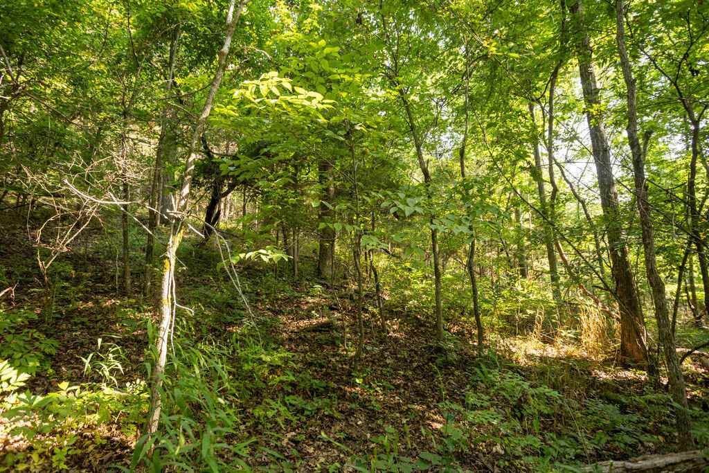 Photo 11 - Land for sale – 000  Misty Springs Road  Galena, MO