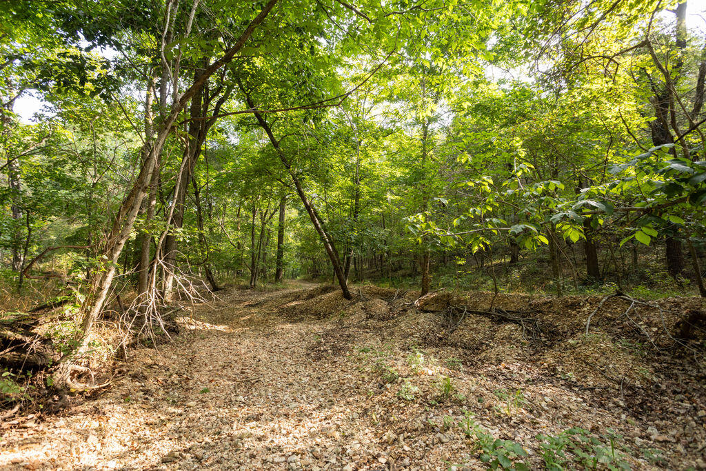Photo 4 - Land for sale – 000  Misty Springs Road  Galena, MO