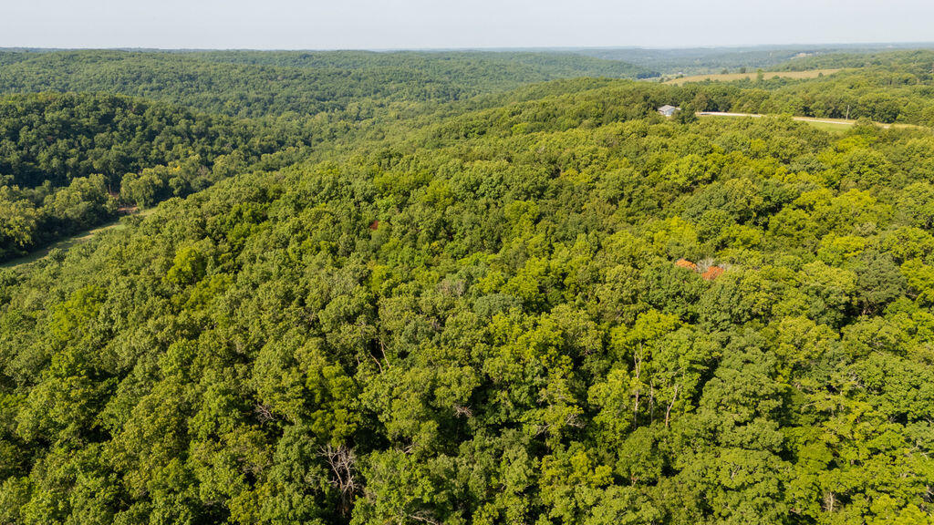 Photo 39 - Land for sale – 000  Misty Springs Road  Galena, MO