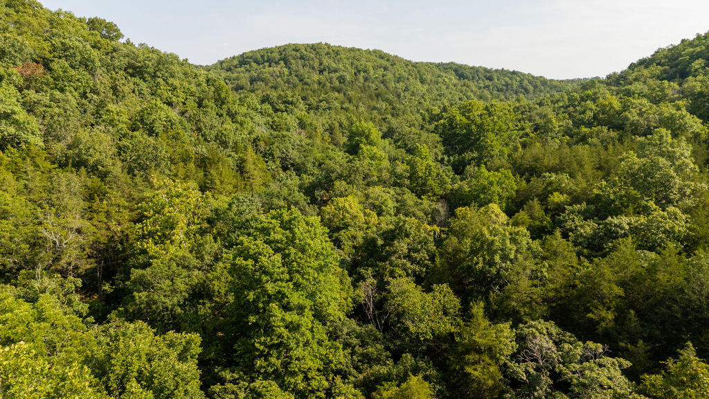 Photo 44 - Land for sale – 000  Misty Springs Road  Galena, MO