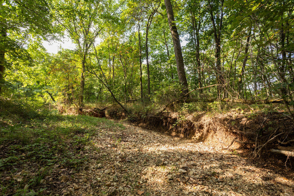 Photo 3 - Land for sale – 000  Misty Springs Road  Galena, MO