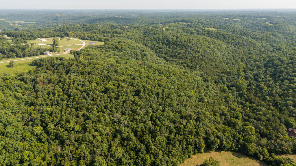Photo 27 - Land for sale – 000  Misty Springs Road  Galena, MO