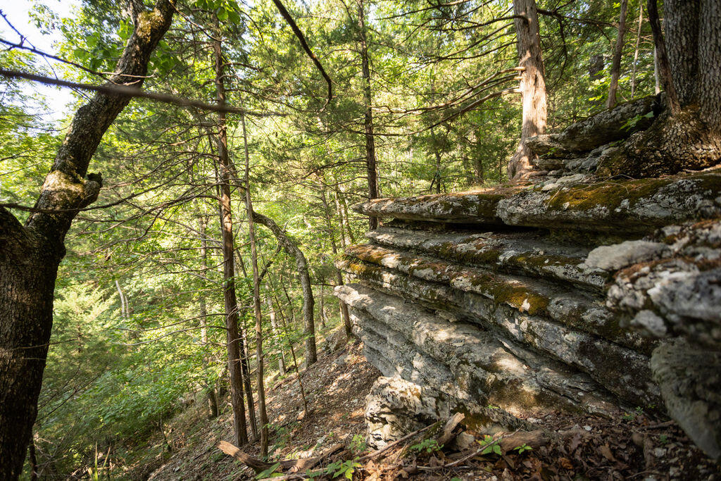 Photo 21 - Land for sale – 000  Misty Springs Road  Galena, MO