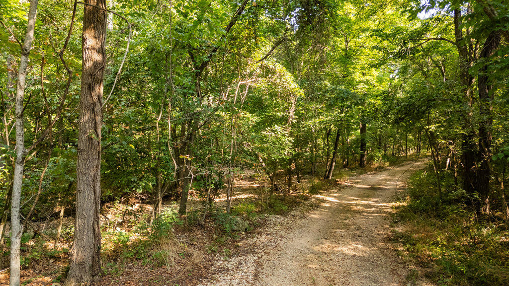 Photo 45 - Land for sale – 000  Misty Springs Road  Galena, MO