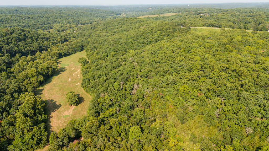 Photo 46 - Land for sale – 000  Misty Springs Road  Galena, MO