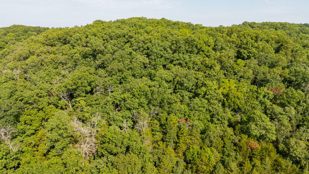 Photo 43 - Land for sale – 000  Misty Springs Road  Galena, MO