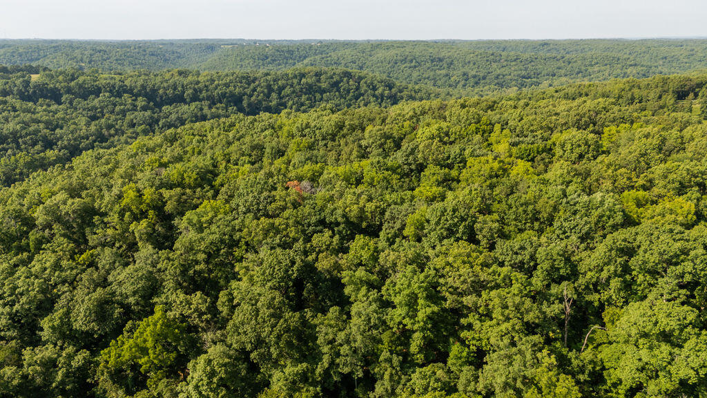 Photo 40 - Land for sale – 000  Misty Springs Road  Galena, MO