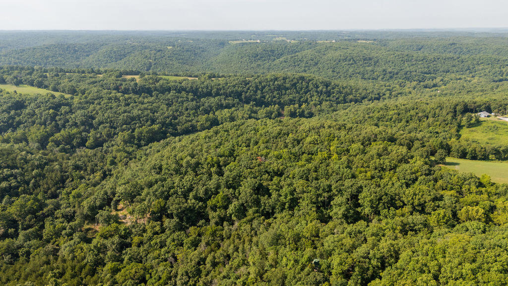 Photo 34 - Land for sale – 000  Misty Springs Road  Galena, MO