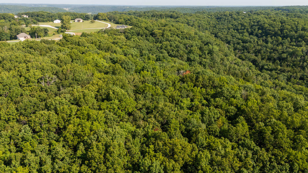 Photo 38 - Land for sale – 000  Misty Springs Road  Galena, MO