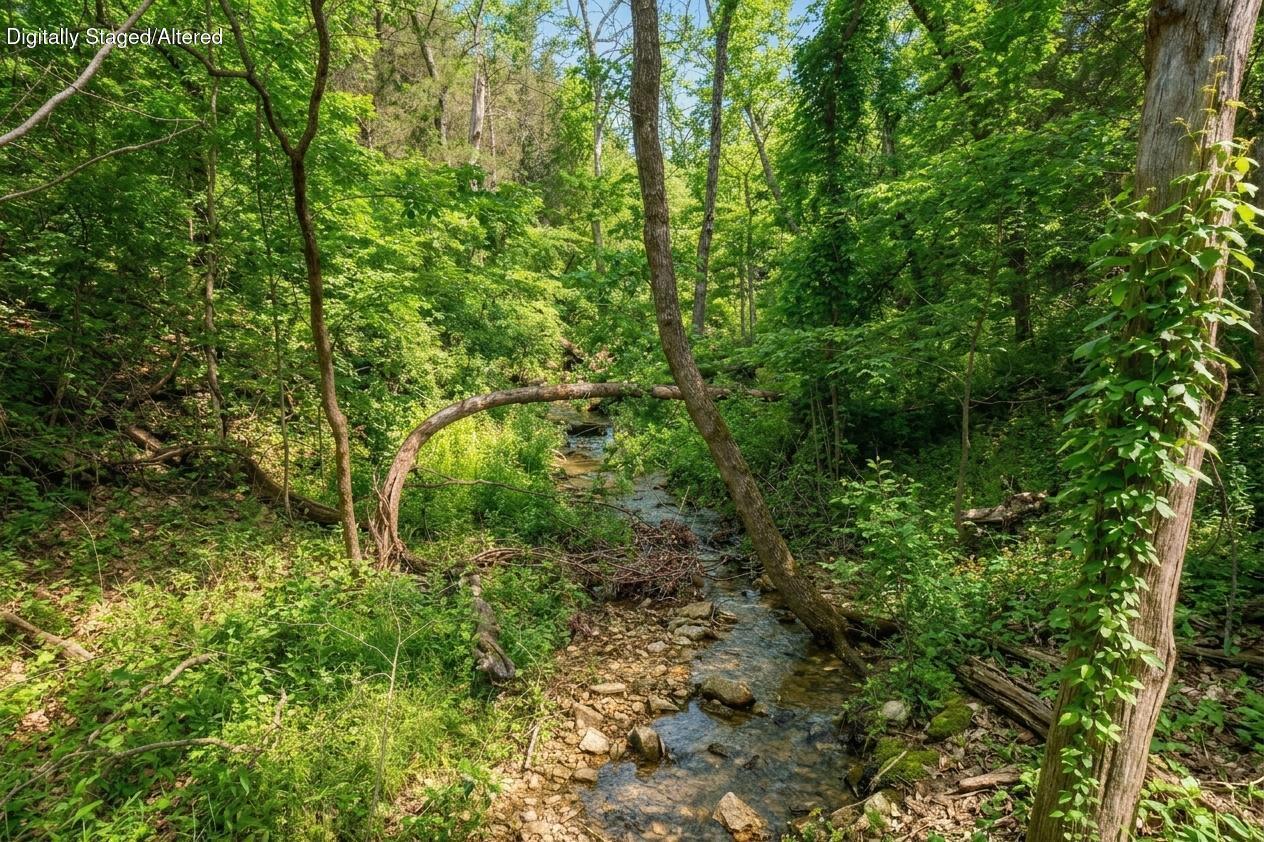 Photo 59 - Residential for sale – 212  Angora Road  Branson West, MO