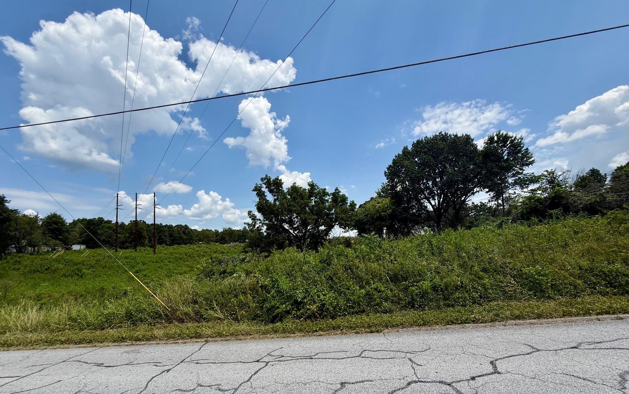 Photo 4 - Land for sale – Xxx  Oak Ridge Drive  Neosho, MO