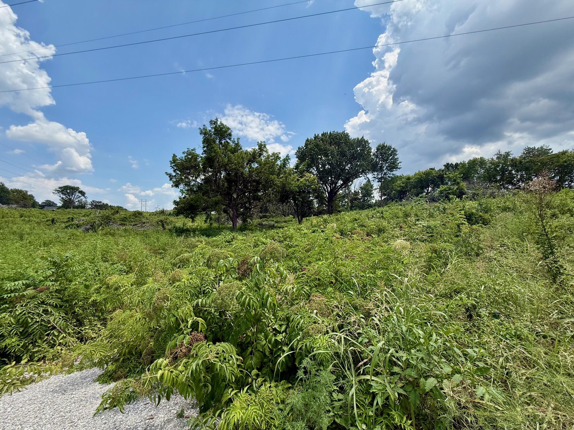 Land for sale – Xxx Oak Ridge Drive Neosho, MO