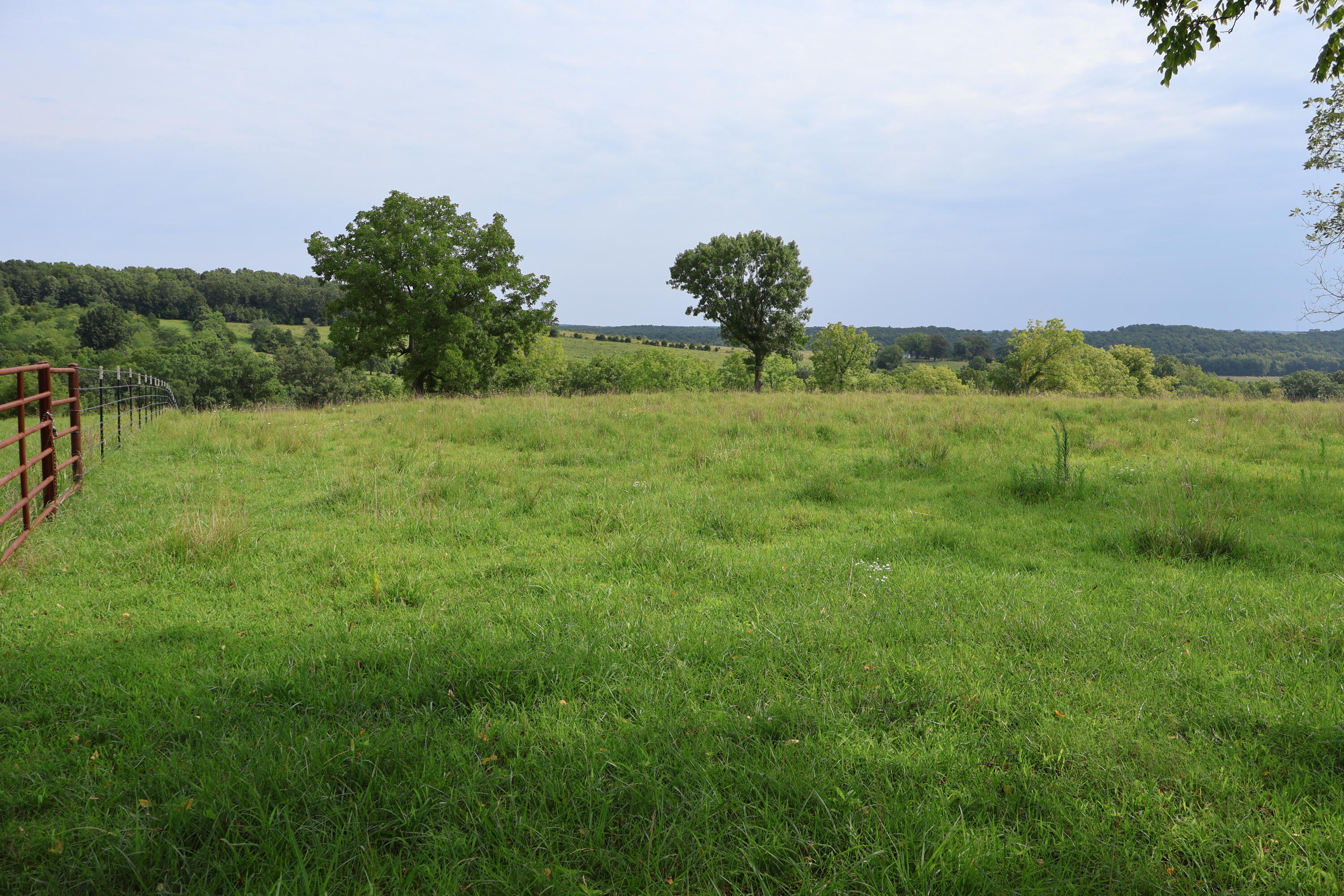 Photo 52 - Land for sale – 9551  State Highway Ff   Mountain Grove, MO