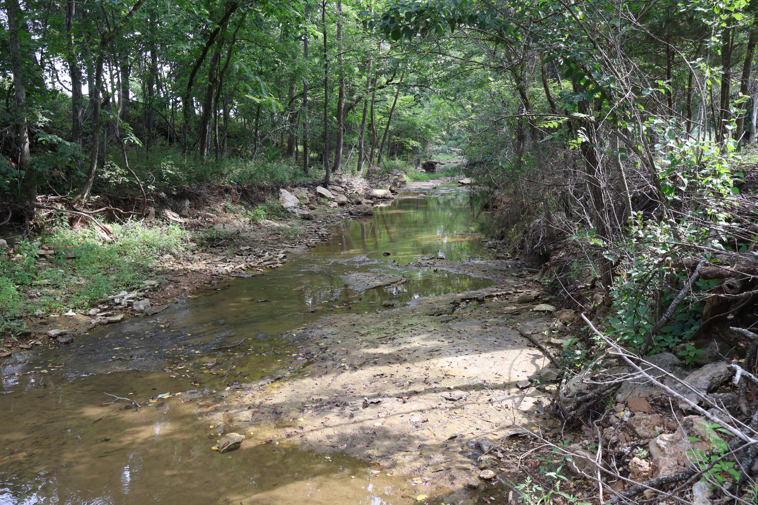 Photo 43 - Land for sale – 9551  State Highway Ff   Mountain Grove, MO